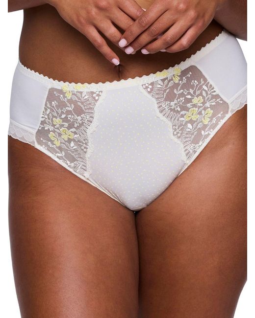 Primadonna Brown Novaro Full Brief Vintage Natural