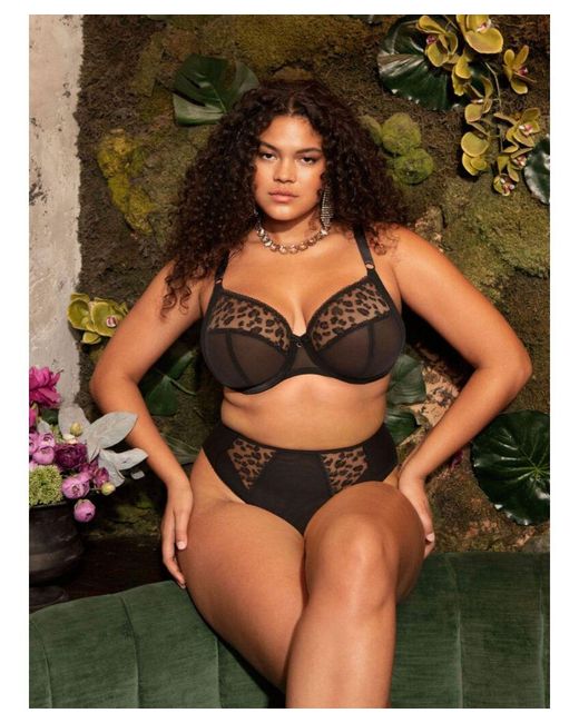 Elomi Black Namrah High Leg Brief