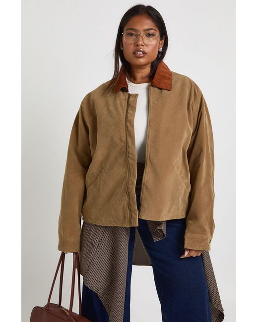 Boohoo Blue Plus Suede Collared Jacket