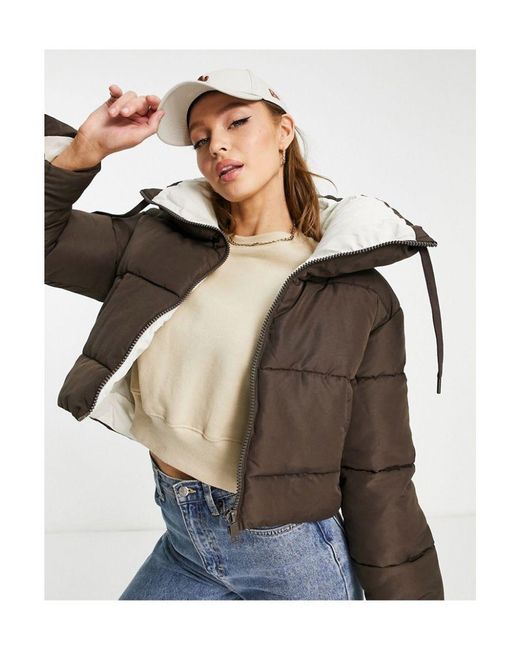Jdy Brown Cropped Contrast Padded Jacket