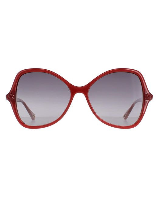 Chloé Brown Chloé Butterfly Dark Gradient Ch0001S
