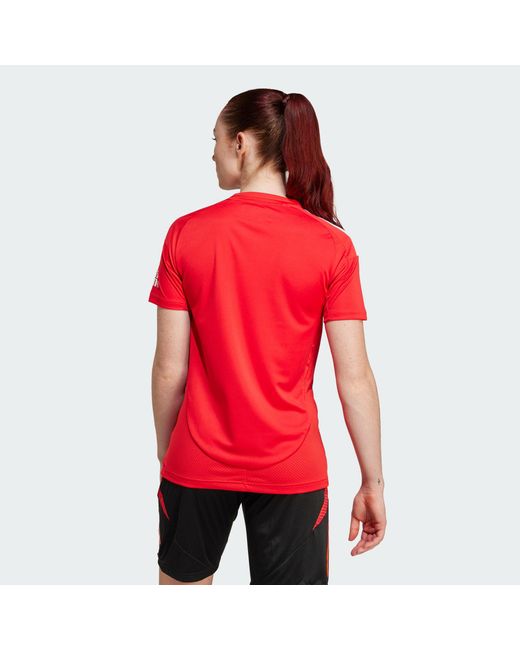 Adidas Originals Red Benfica 24/25 Home Jersey