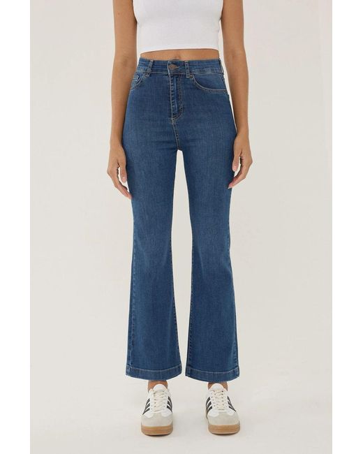 Hiccup Blue Flare Jeans