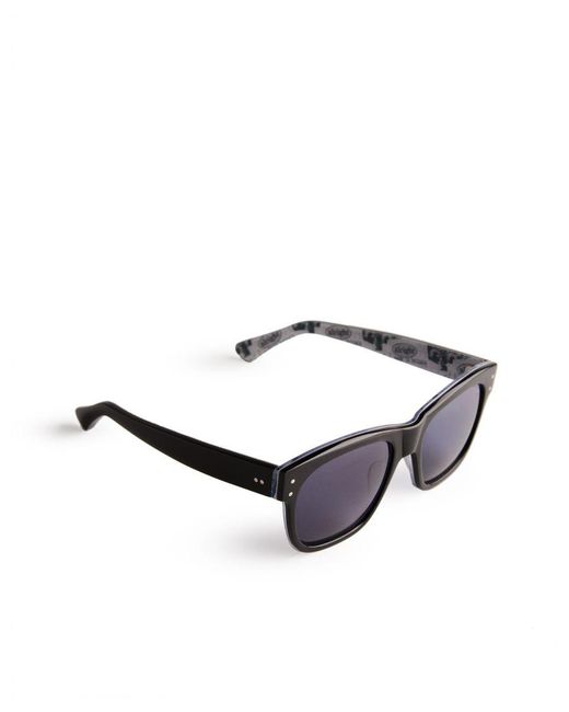Ted Baker Blue Lord Mib Printed Sunglasses for men