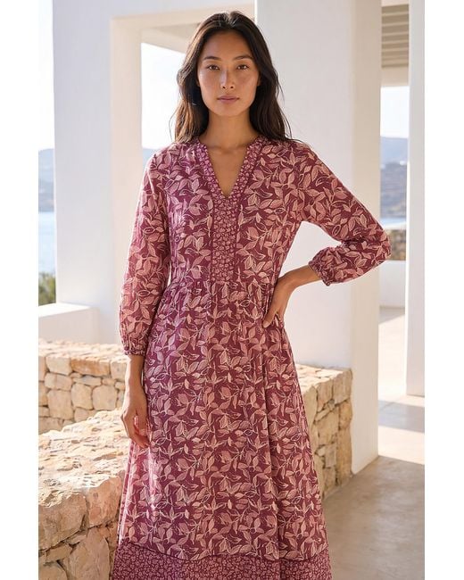 Roman Red Petite Border Print Midi Dress