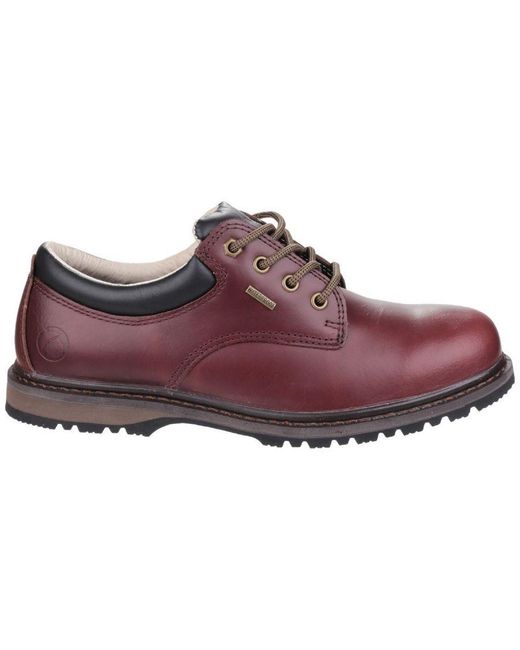 Cotswold Red Stonesfield Lace Up Waterproof Hiking Shoes (Chestnut) for men