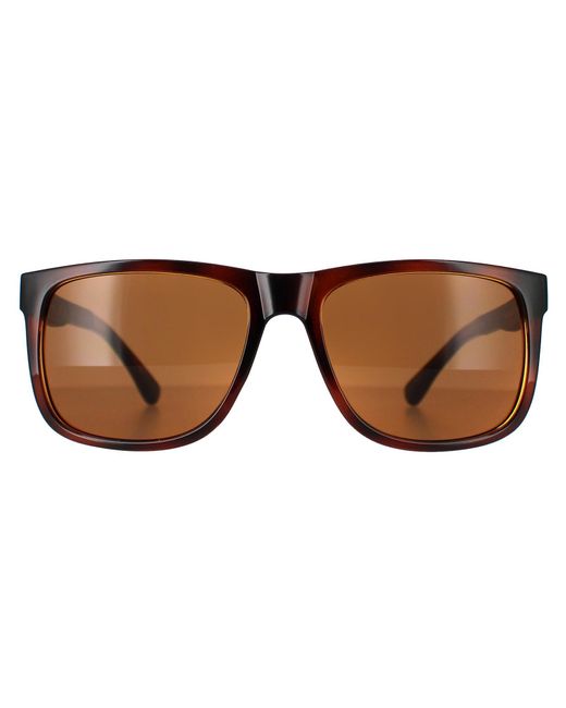 Guess Brown Rectangle Dark Havana Gf0234
