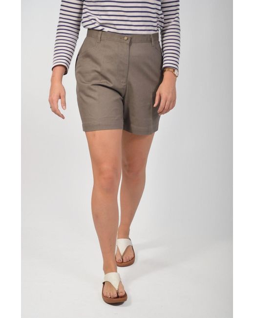 Hawkshead Gray Curve Chino Shorts