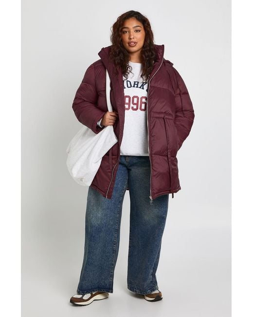 Boohoo Blue Plus Hooded Cinched Waist Puffer Jacket