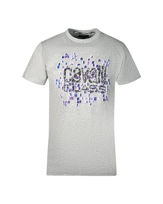 Roberto Cavalli Gray Scales Design Logo T-Shirt Cotton for men