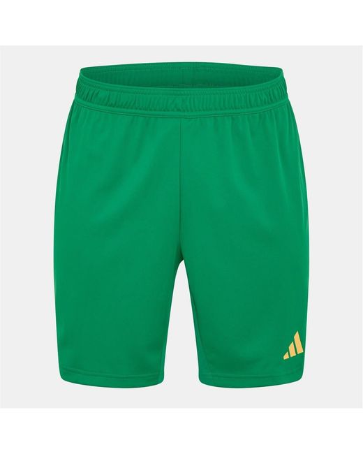 Adidas Green T24 Goal Keeper Bermuda Shorts for men