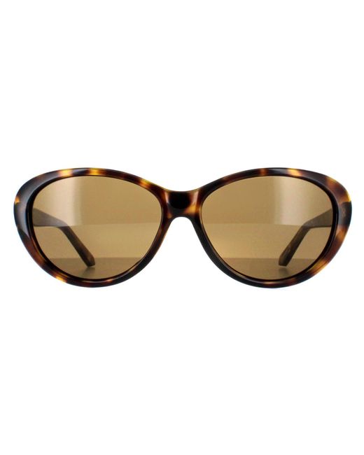 Ted Baker Brown Oval Havana Gradient Tb1315 Cougar