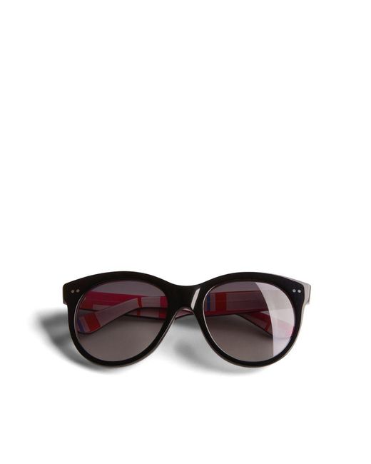 Ted Baker Brown Manhatn Printed Sunglasses