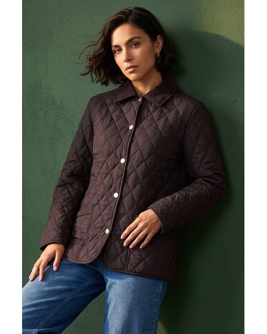 Roman Green Quilted Collar Jacket