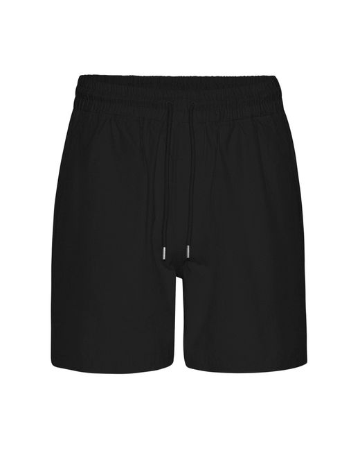 COLORFUL STANDARD Black Shorts