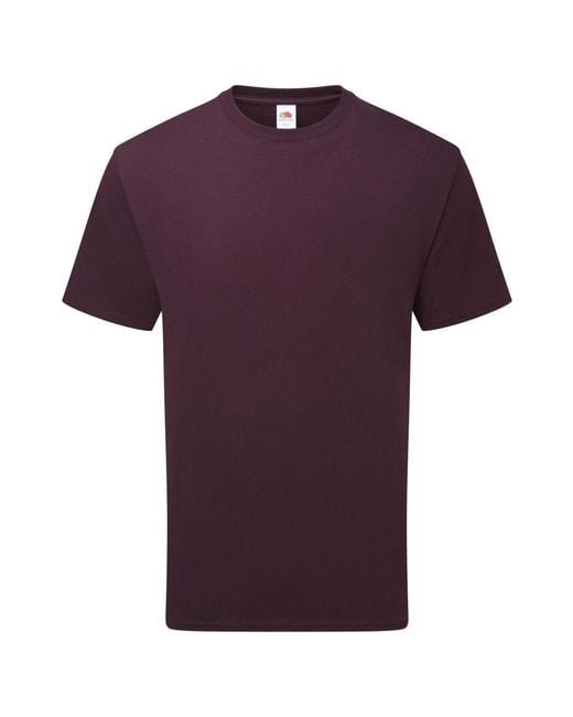 Fruit Of The Loom Purple Adult Pure Cotton T-Shirt (Dark Plum)