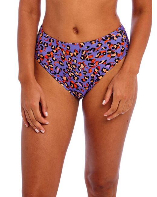 Freya Blue Santiago Nights High Waist Bikini Brief