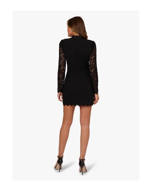 Adrianna Papell Black Lace And Crepe Dress