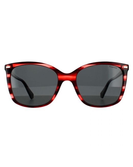 Polaroid Brown Square Havana Polarized 90041091