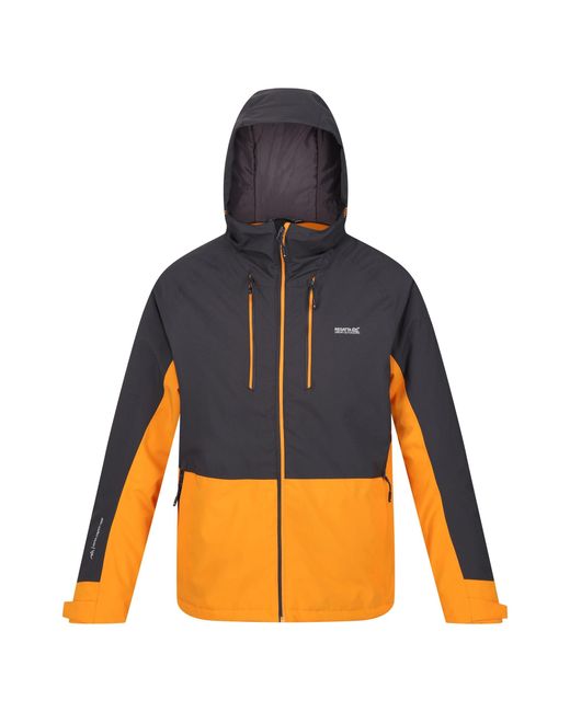 Regatta Blue Highton Iii Stretch Padded Jacket (Ash/ Pepper) for men