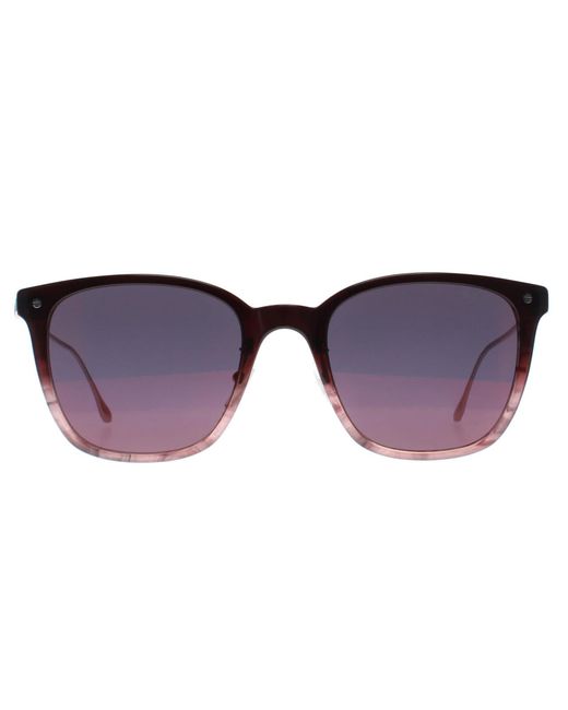 BMW Purple Square Bordeaux Mirror Bw0008 Sunglasses