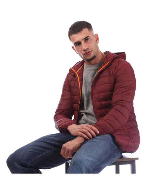 Aquascutum Blue Logo Puffer Jacket (Bordeaux) for men