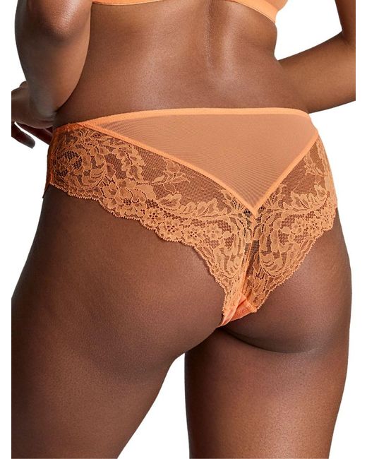 Panache Brown Ana Brazilian Peach Melba