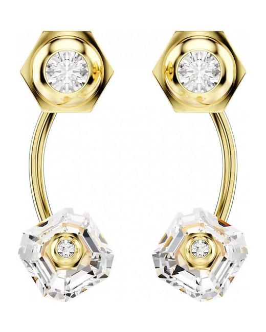 Swarovski Metallic 5677980 Ladies Earrings