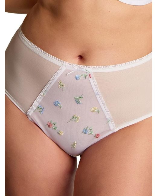 Panache Gray Tango Edit Deep Brief