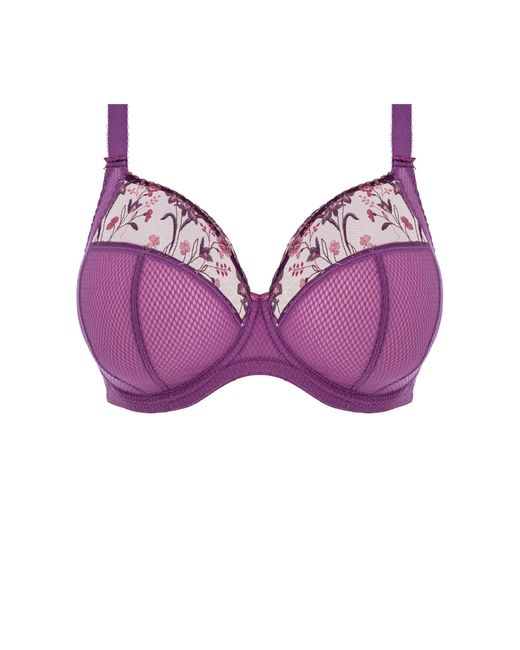 Elomi Purple Gb +Size Niet-Voorgevormde Beugelbh Charley Paars