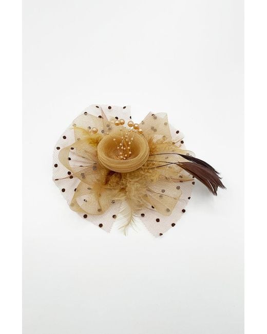 SVNX Natural Rosette Faux Pearl & Polka Veil Feather Fascinator