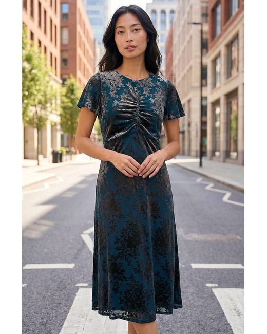 Roman Blue Petite Devore Midi Dress