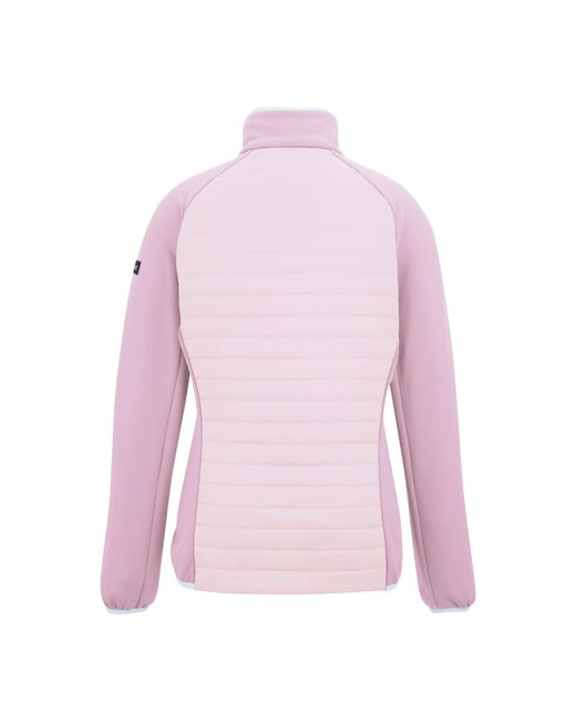 Regatta Pink Ladies Clumber Hybrid Jacket Haze/Powder Lilac)