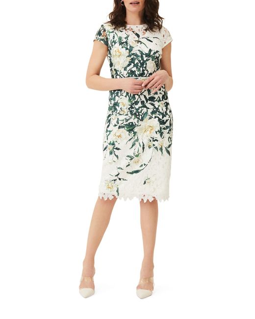 Phase Eight White Claudine Floral Lace Dress