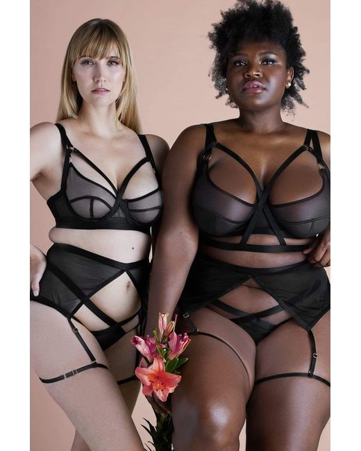 Playful Promises Brown Felicity Hayward X Pp Danielle Brazilian Brief