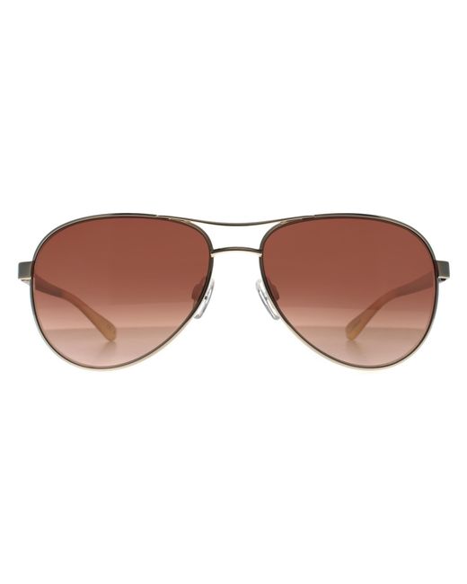 Ted Baker Brown Aviator Gradient Tb1271 Oliver Metal