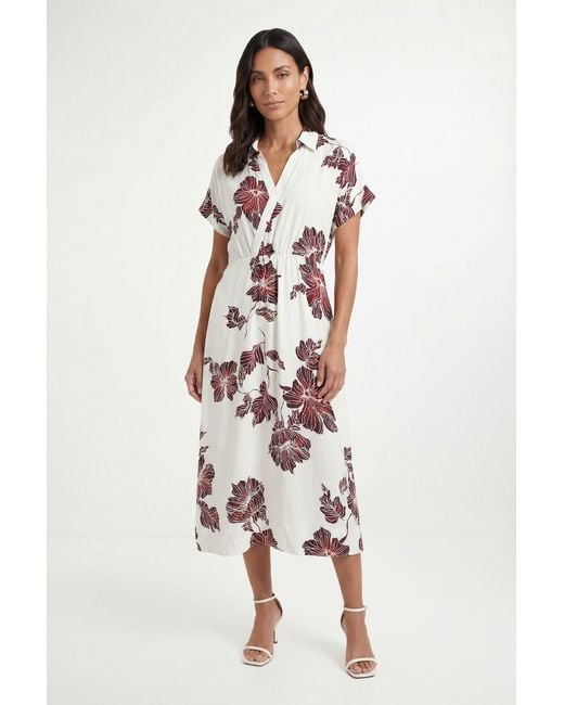 Wallis White Floral Woven Collar Midi Dress