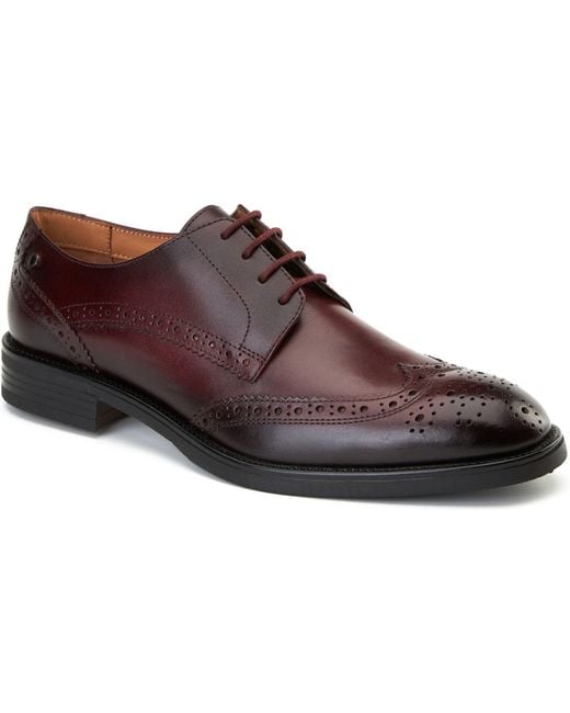 Base London Brown Pocket Leather Bordo Brogues Shoes for men