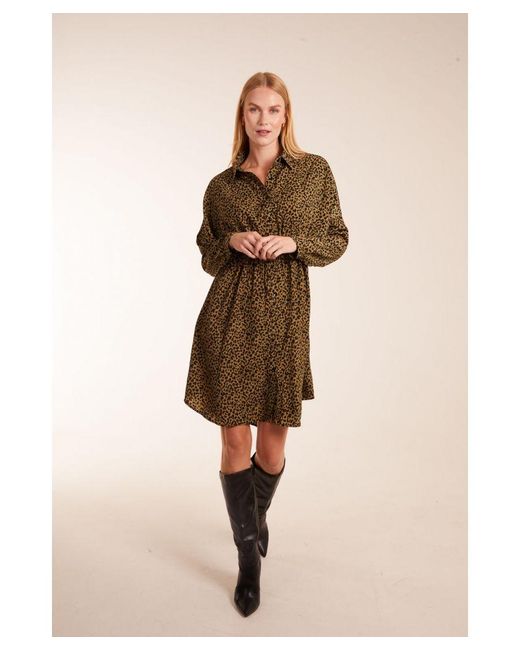 Blue Vanilla Brown Leopard Shirt Dress