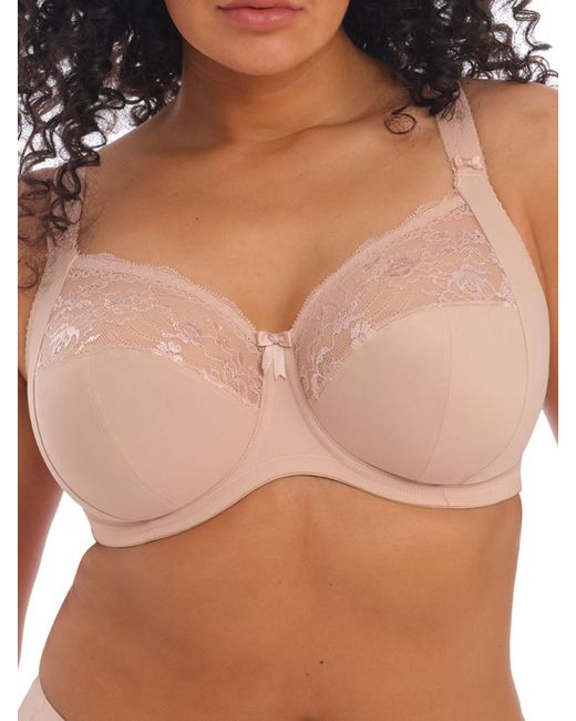 Elomi Brown Morgan Full Cup Bra
