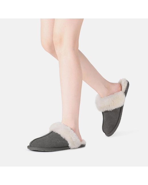 EVER AU Gray Harrier Slippers