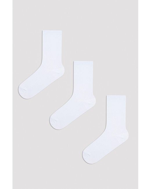 Penti White 3-Pack Ribbed Crew Socks