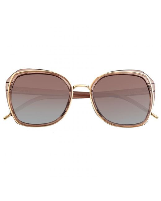 Bertha Brown Jade Polarized Sunglasses