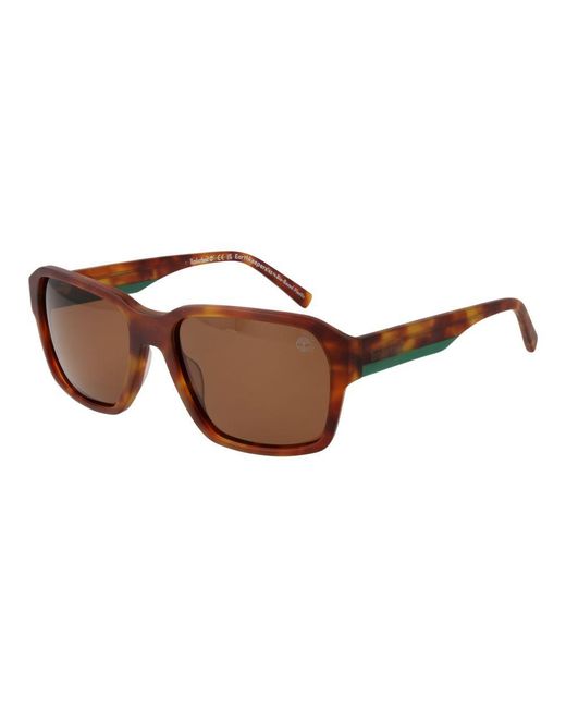 Timberland Brown Acetate Sunglasses for men