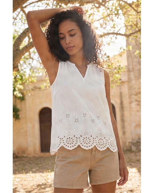 Roman Brown Cotton Broderie Hem Top