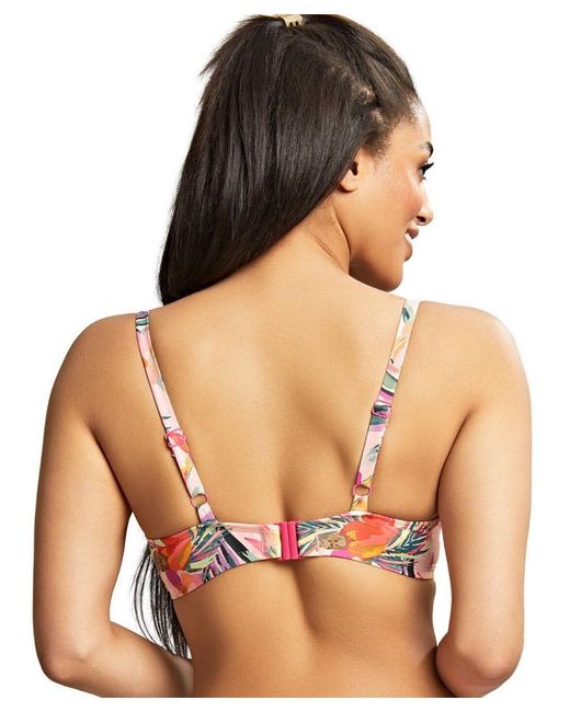 Panache Pink Paradise Balcony Bikini Top