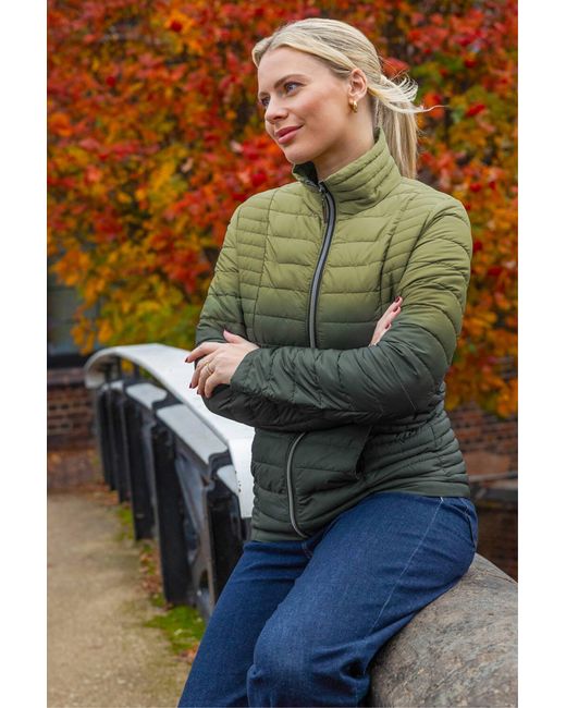 Roman Green Ombre Funnel Padded Coat