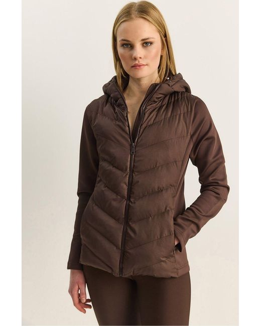 Bianco Lucci Brown Hooded Puffers Coat