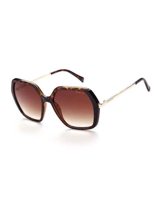 Radley Brown Square Tortoise Gradient Wandsworth