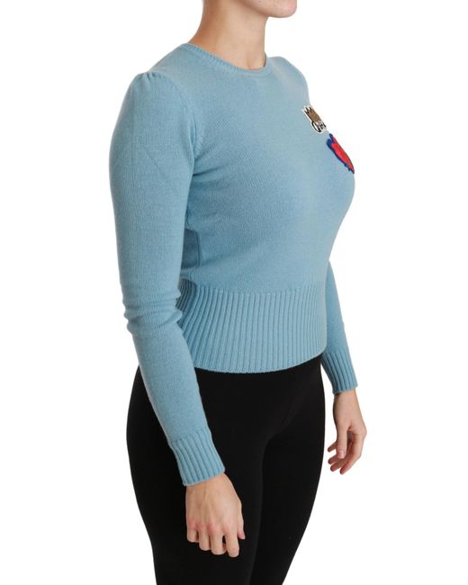 Dolce & Gabbana Hoodies & Sweatvesten in het Blue